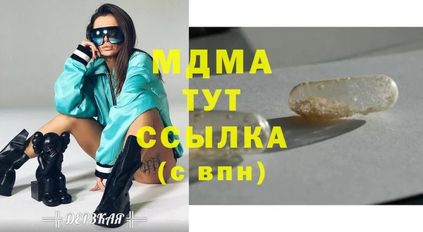 spice Богородицк
