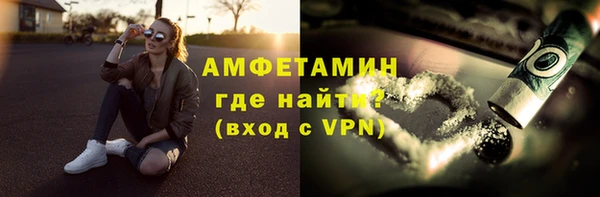spice Богородицк
