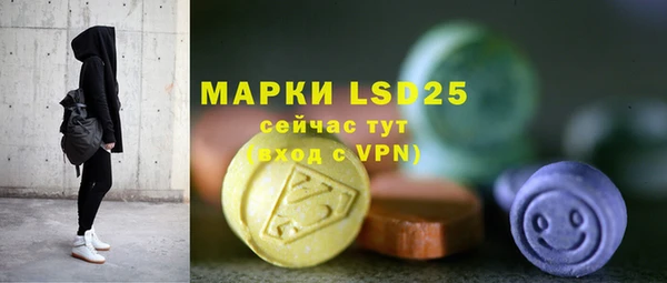индика Белокуриха