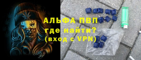 spice Богородицк
