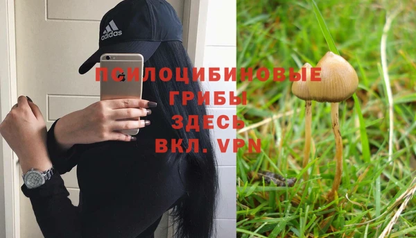 гашиш Бородино