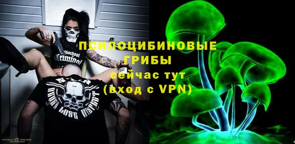 apvp Няндома