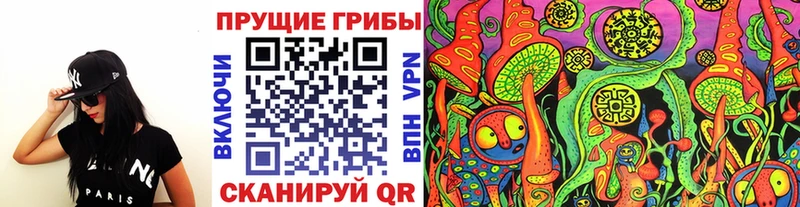 Псилоцибиновые грибы GOLDEN TEACHER  Волгореченск 