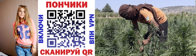 хочу   Волгореченск  Бошки Шишки Amnesia 